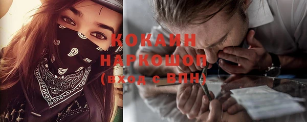 мдпв Корсаков