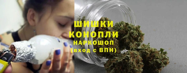 мдпв Корсаков