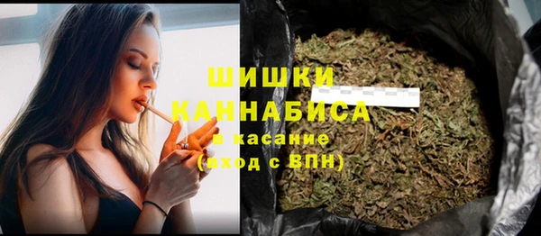мдпв Корсаков
