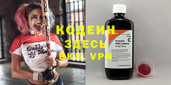 мдпв Корсаков