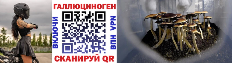 Псилоцибиновые грибы Psilocybine cubensis Тольятти